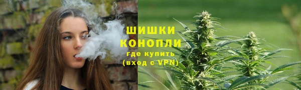 крисы Богородицк