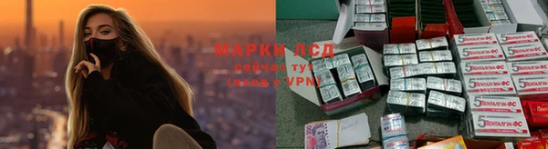 мдпв Верея