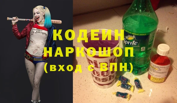 мдпв Верея